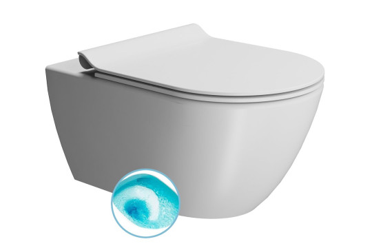 PURA WC závěsné, splachování SWIRLFLUSH, 55x36 cm, bílá dual-mat