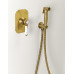 Bidetová sprcha retro s hadicí a držákem sprchy s vyústěním, bronz
